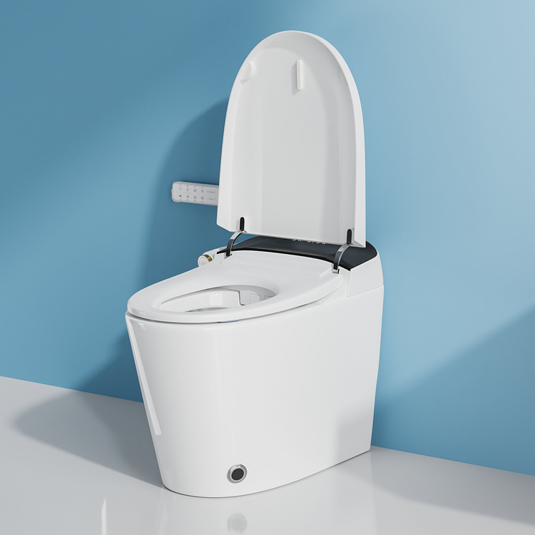 가정용 장식 욕실 스마트 전자 자동 플러시 센서 변기 - Smart Home Decor 리뷰 및 가격
