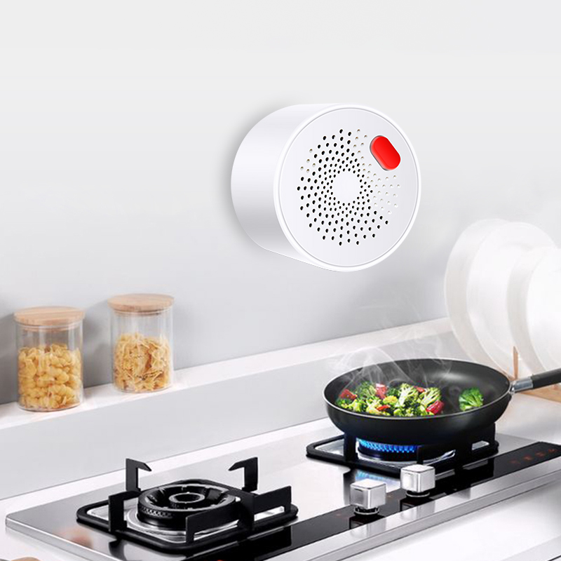 Tuya 스마트 홈 와이파이 천연 가스 센서, 가연성  - Smart Home Blog 리뷰 및 가격