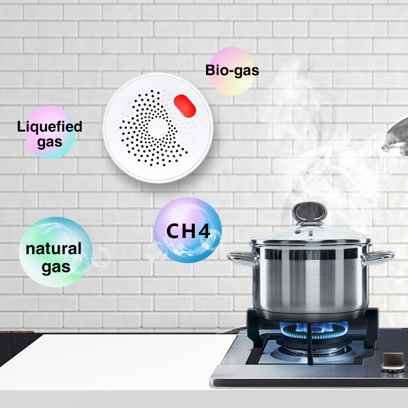 Tuya 스마트 홈 와이파이 천연 가스 센서, 가연성  - Smart Home Blog 리뷰 및 가격