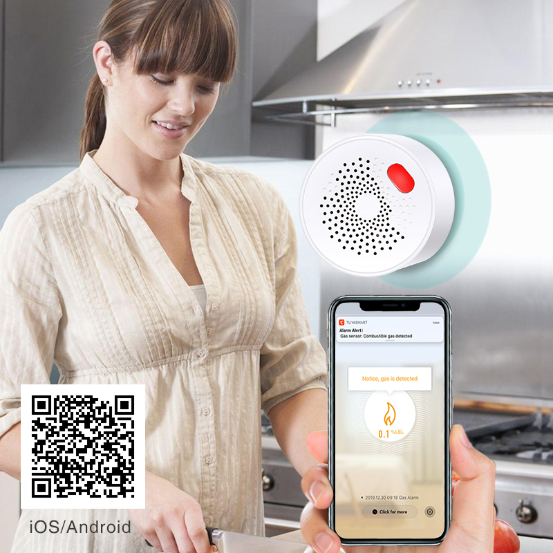 Tuya 스마트 홈 와이파이 천연 가스 센서, 가연성  - Smart Home Blog 리뷰 및 가격